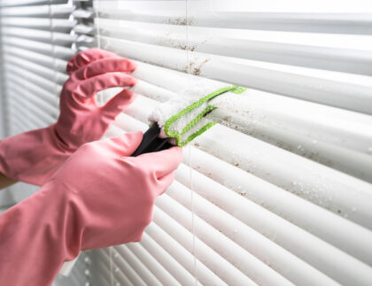 Deep Cleaning Services for Home
